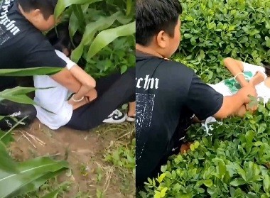 Quay clip hiếp dâm em gái ngoan ngoãn